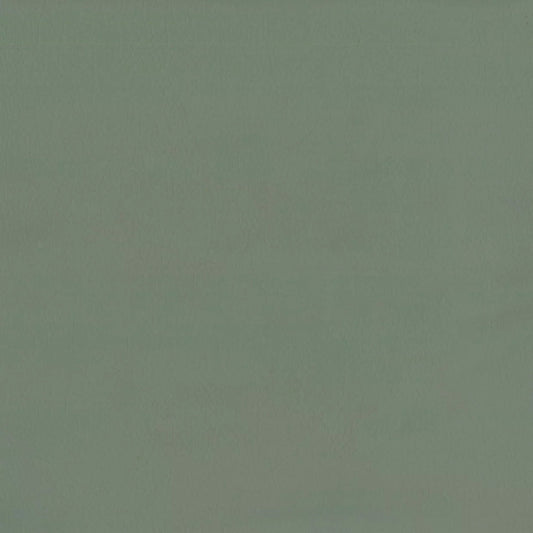 Lustrell Aura (Eucalyptus) fabric swatch