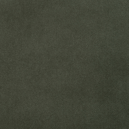 Lustre Velvet (Moss) fabric swatch