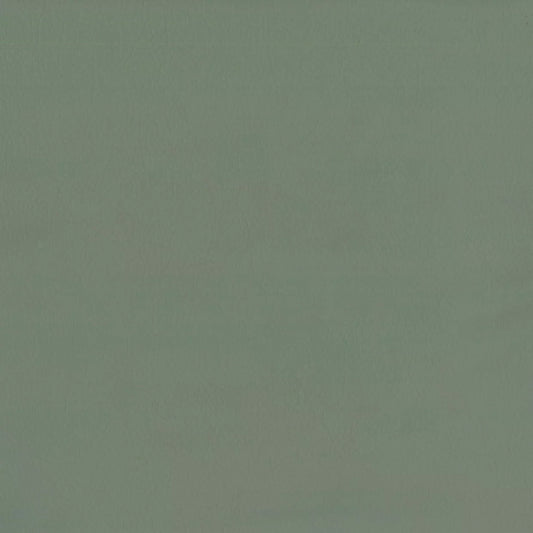 Lustrell Aura [Eucalyptus]