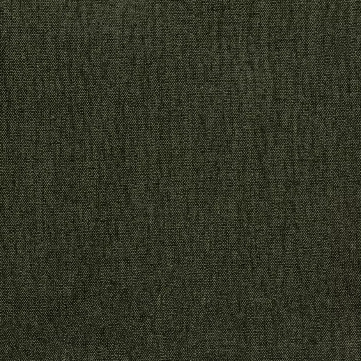 Fabric Swatch [ Raymond Forest ]