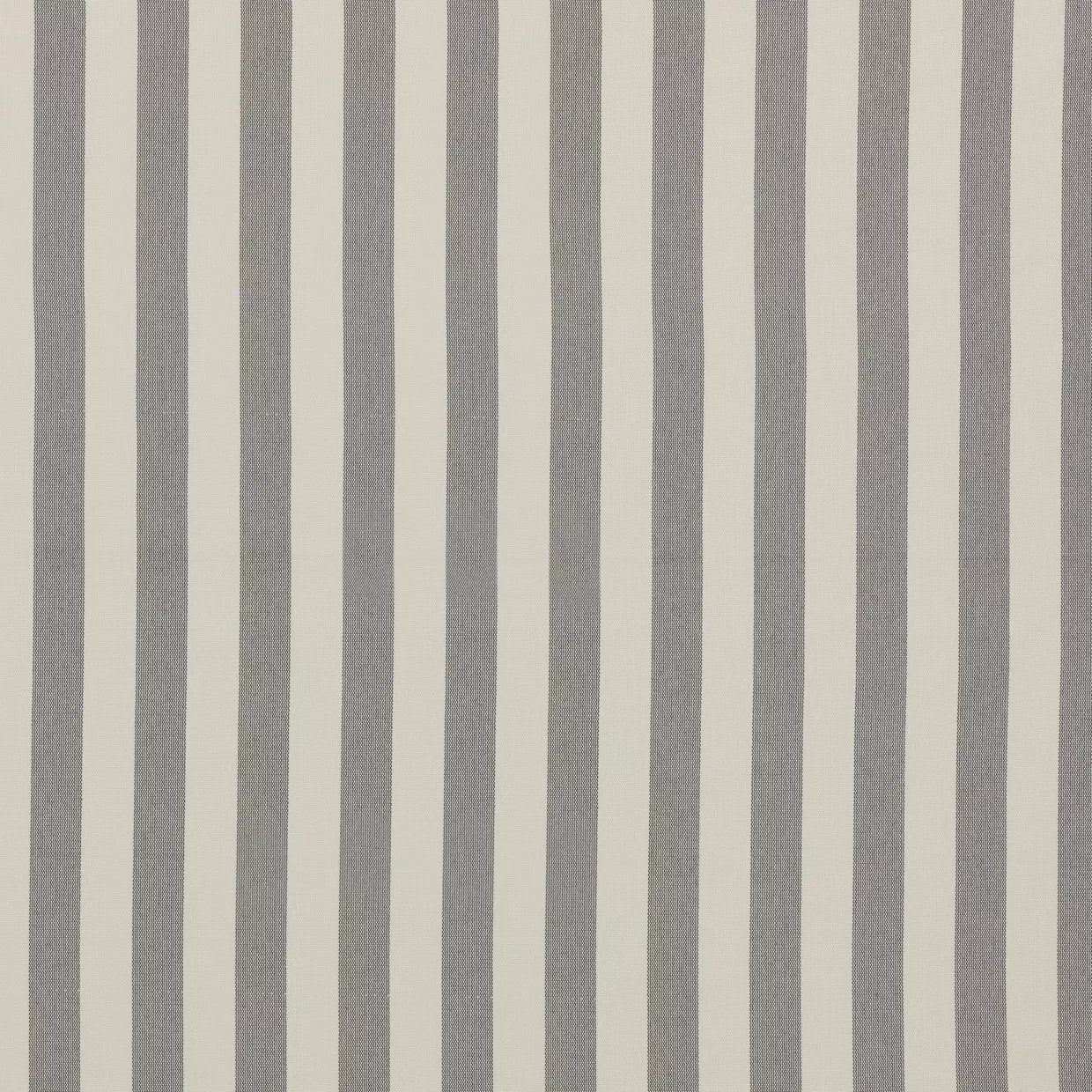 Fabric Swatch [ Serengeti Gull ]