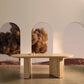 Pill Dining Table