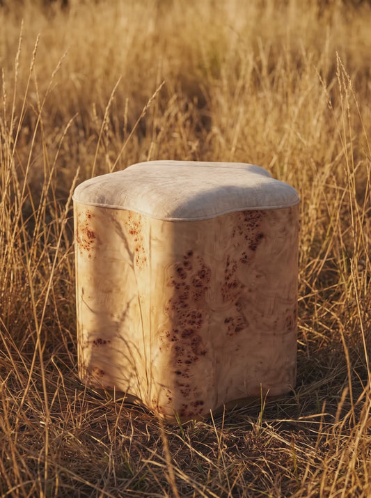Ditto Stool, video