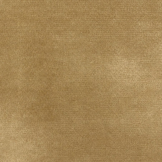 Lustre Velvet (Butterscotch) fabric swatch