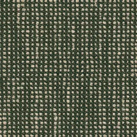 Slow (Fern) fabric swatch